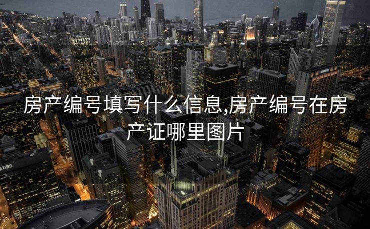 房产编号填写什么信息,房产编号在房产证哪里图片