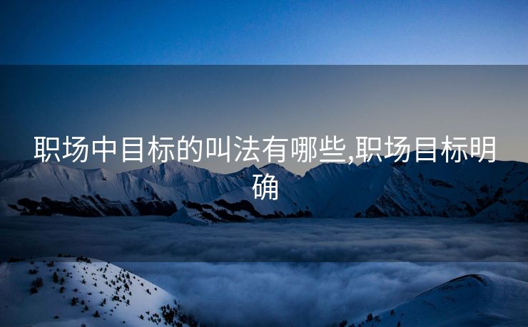 职场中目标的叫法有哪些,职场目标明确