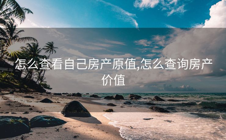 怎么查看自己房产原值,怎么查询房产价值