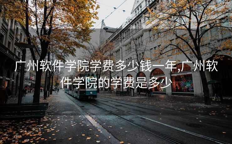 广州软件学院学费多少钱一年,广州软件学院的学费是多少