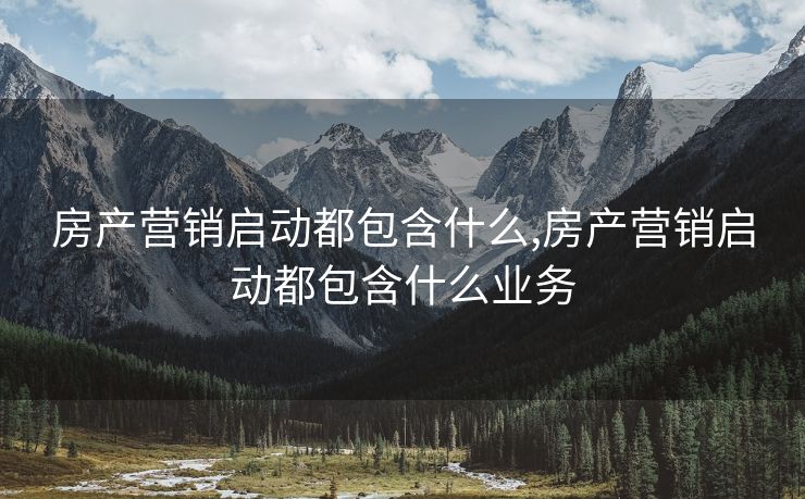 房产营销启动都包含什么,房产营销启动都包含什么业务
