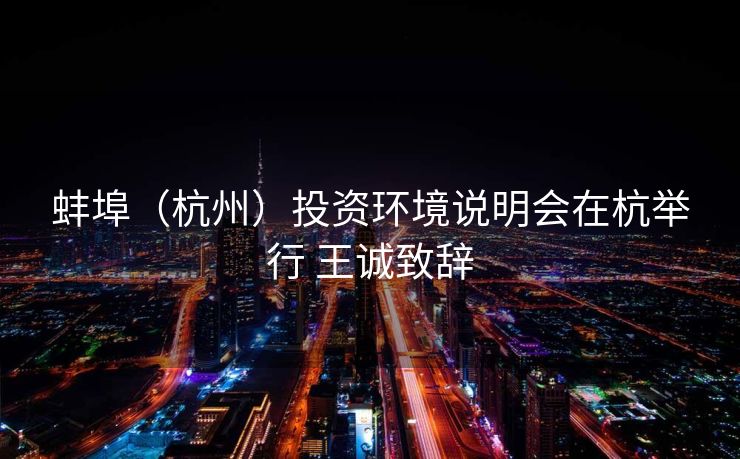 蚌埠（杭州）投资环境说明会在杭举行 王诚致辞