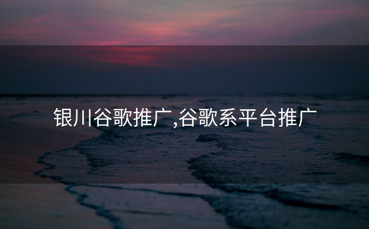 银川谷歌推广,谷歌系平台推广