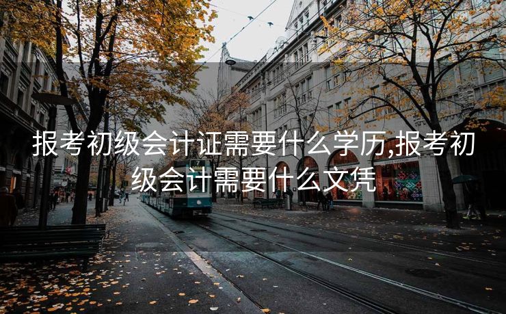 报考初级会计证需要什么学历,报考初级会计需要什么文凭