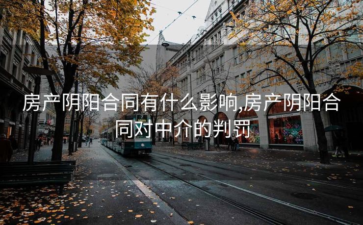 房产阴阳合同有什么影响,房产阴阳合同对中介的判罚