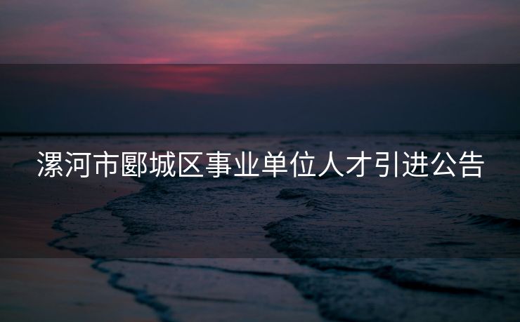 漯河市郾城区事业单位人才引进公告