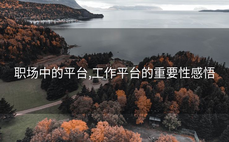 职场中的平台,工作平台的重要性感悟
