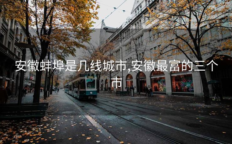 安徽蚌埠是几线城市,安徽最富的三个市