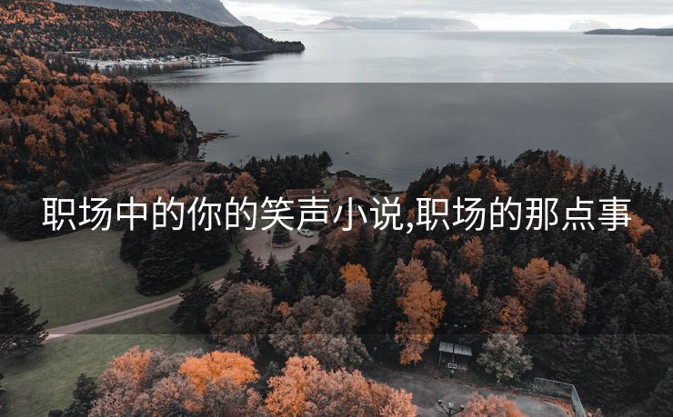 职场中的你的笑声小说,职场的那点事