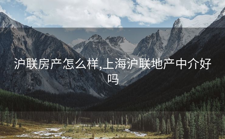 沪联房产怎么样,上海沪联地产中介好吗