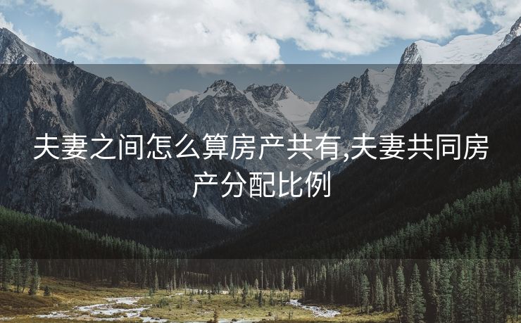 夫妻之间怎么算房产共有,夫妻共同房产分配比例