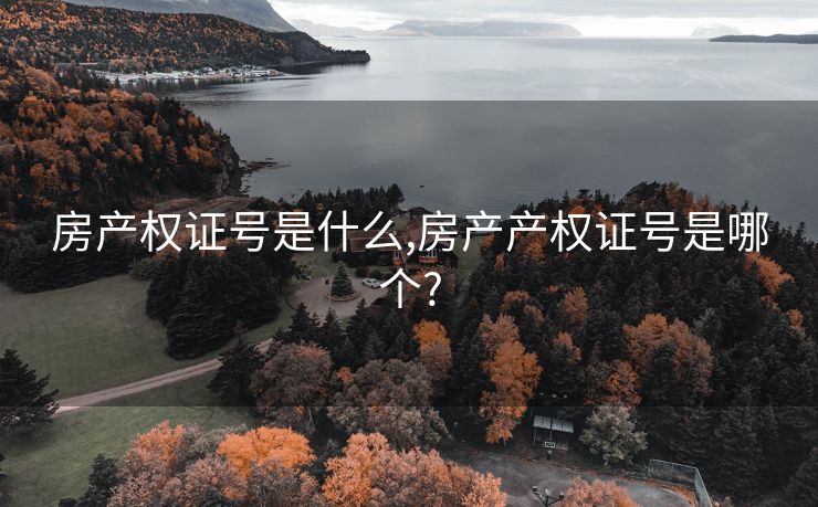 房产权证号是什么,房产产权证号是哪个?