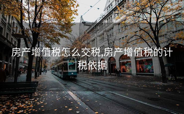 房产增值税怎么交税,房产增值税的计税依据