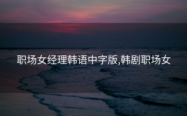 职场女经理韩语中字版,韩剧职场女