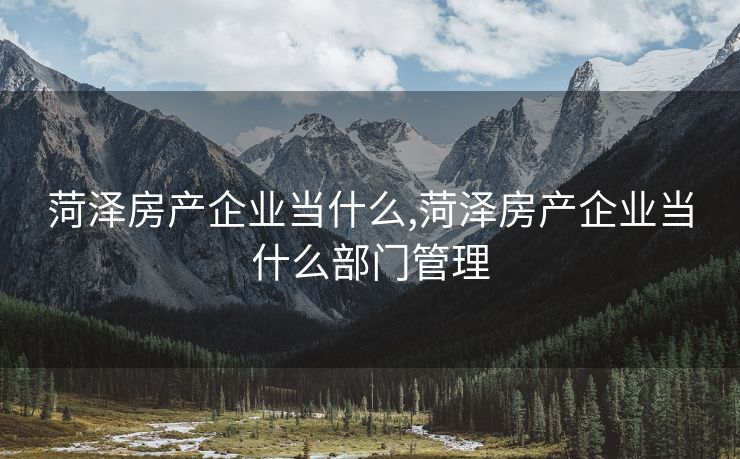 菏泽房产企业当什么,菏泽房产企业当什么部门管理