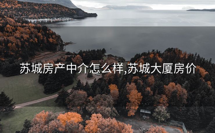 苏城房产中介怎么样,苏城大厦房价