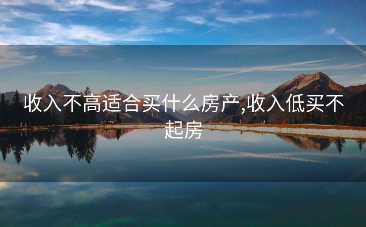 收入不高适合买什么房产,收入低买不起房