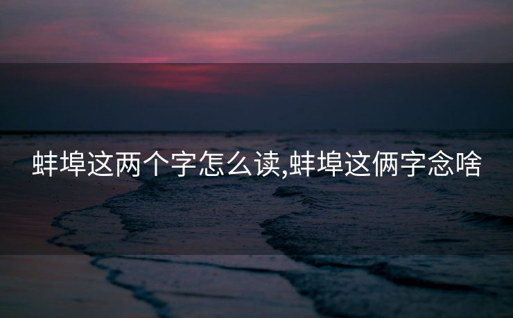 蚌埠这两个字怎么读,蚌埠这俩字念啥