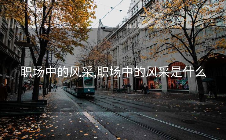 职场中的风采,职场中的风采是什么