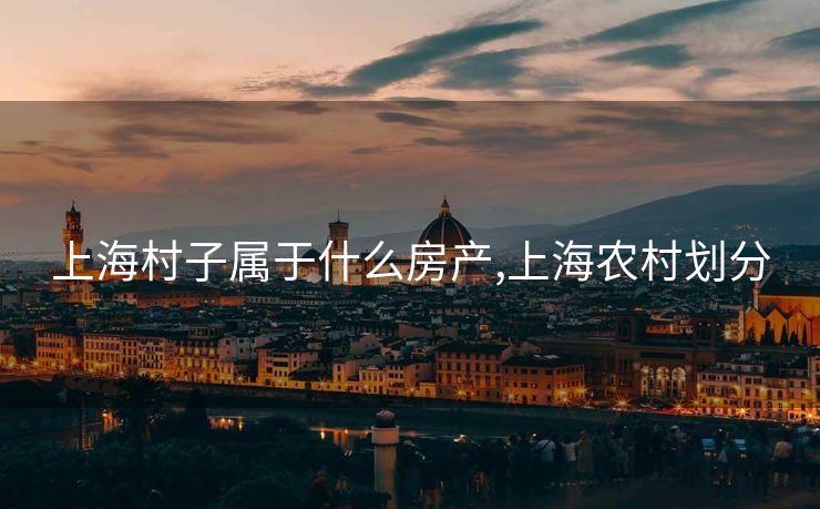 上海村子属于什么房产,上海农村划分