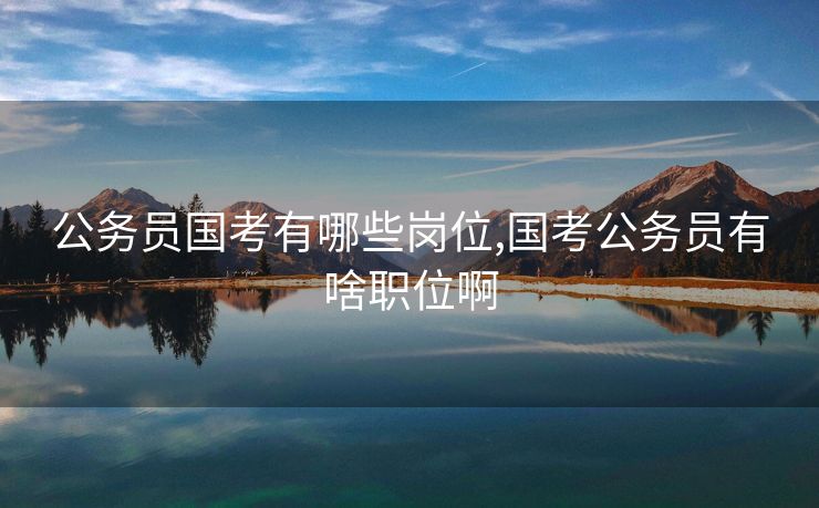 公务员国考有哪些岗位,国考公务员有啥职位啊