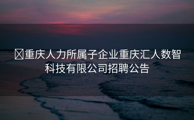 ​重庆人力所属子企业重庆汇人数智科技有限公司招聘公告