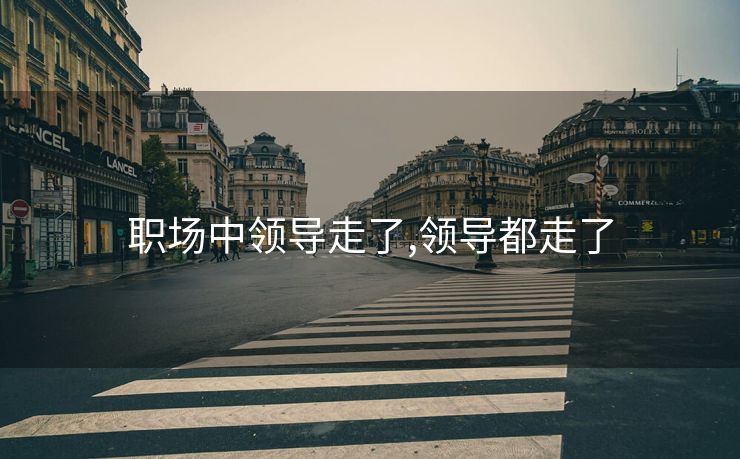 职场中领导走了,领导都走了
