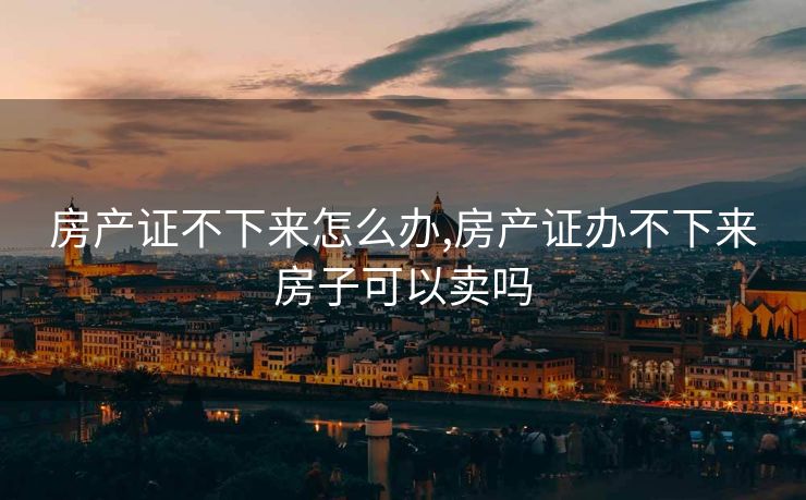 房产证不下来怎么办,房产证办不下来房子可以卖吗