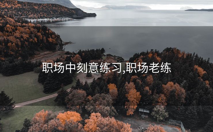 职场中刻意练习,职场老练