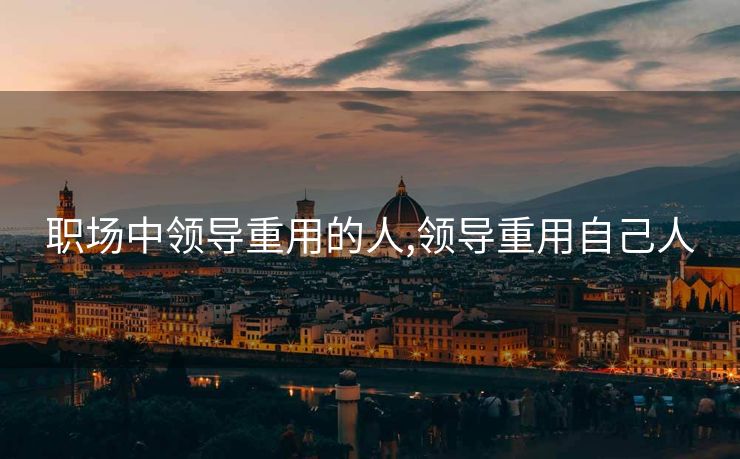 职场中领导重用的人,领导重用自己人