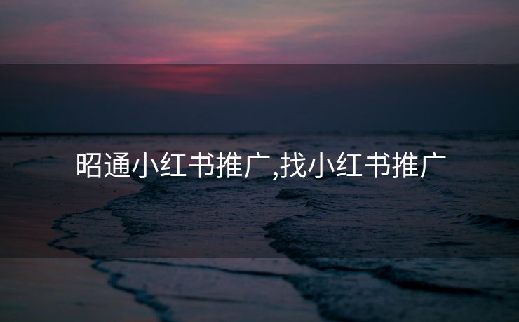 昭通小红书推广,找小红书推广