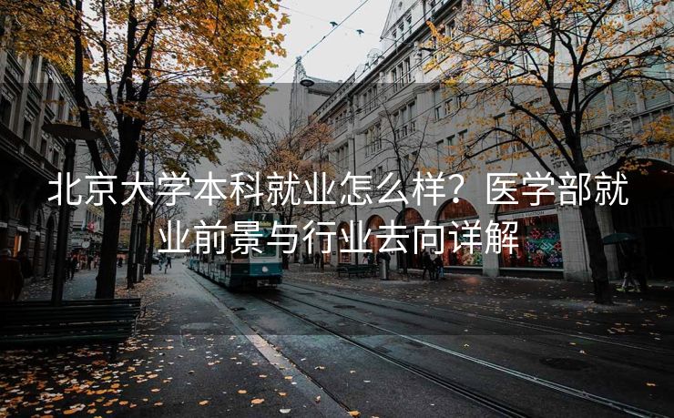 北京大学本科就业怎么样？医学部就业前景与行业去向详解