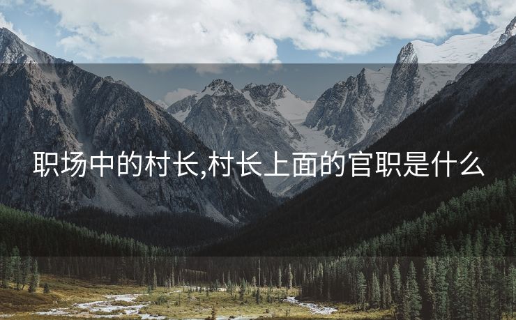 职场中的村长,村长上面的官职是什么