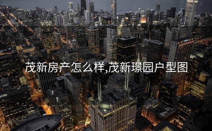 茂新房产怎么样,茂新璟园户型图