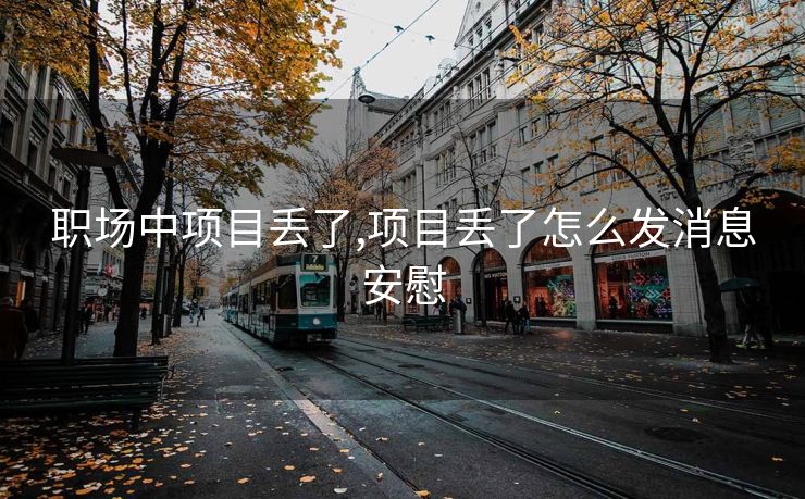 职场中项目丢了,项目丢了怎么发消息安慰
