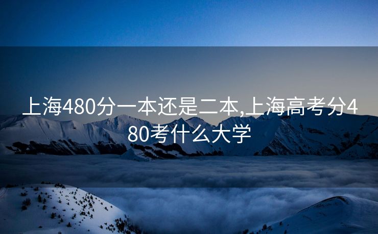 上海480分一本还是二本,上海高考分480考什么大学