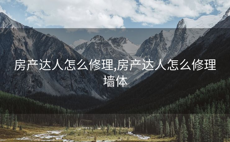 房产达人怎么修理,房产达人怎么修理墙体