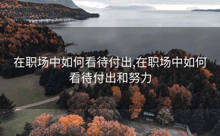 在职场中如何看待付出,在职场中如何看待付出和努力