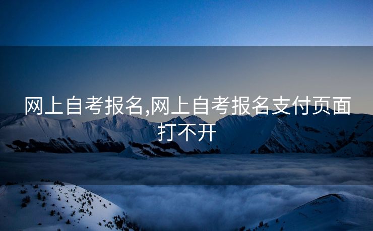 网上自考报名,网上自考报名支付页面打不开