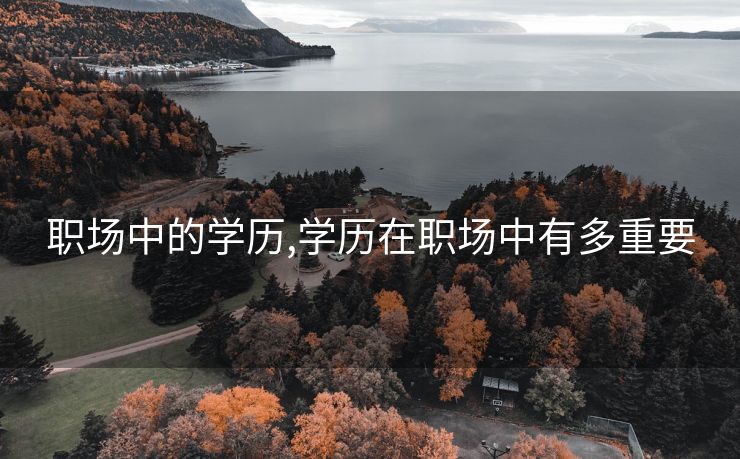 职场中的学历,学历在职场中有多重要