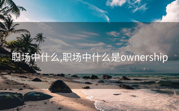 职场中什么,职场中什么是ownership