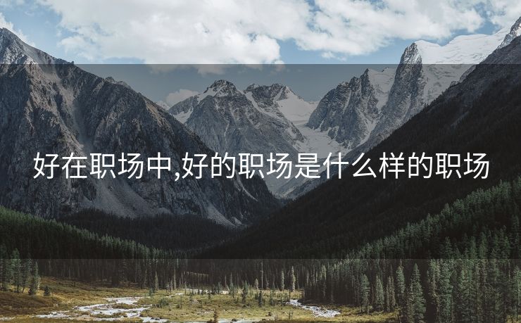 好在职场中,好的职场是什么样的职场