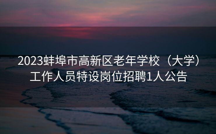 2023蚌埠市高新区老年学校（大学）工作人员特设岗位招聘1人公告
