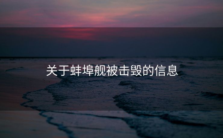 关于蚌埠舰被击毁的信息