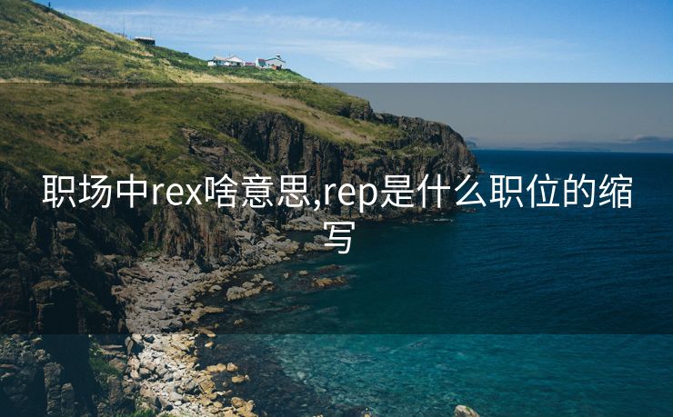 职场中rex啥意思,rep是什么职位的缩写