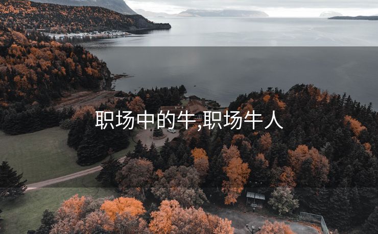 职场中的牛,职场牛人