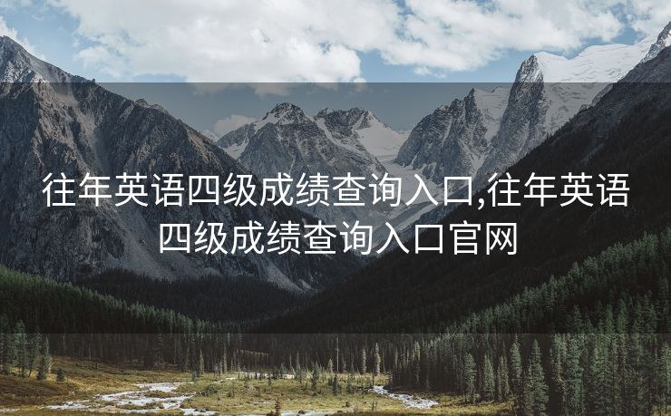 往年英语四级成绩查询入口,往年英语四级成绩查询入口官网