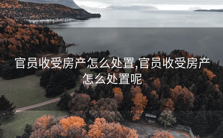 官员收受房产怎么处置,官员收受房产怎么处置呢
