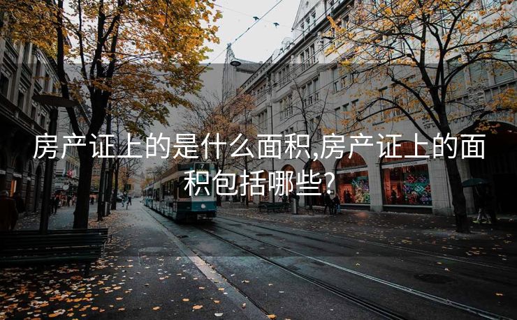 房产证上的是什么面积,房产证上的面积包括哪些?