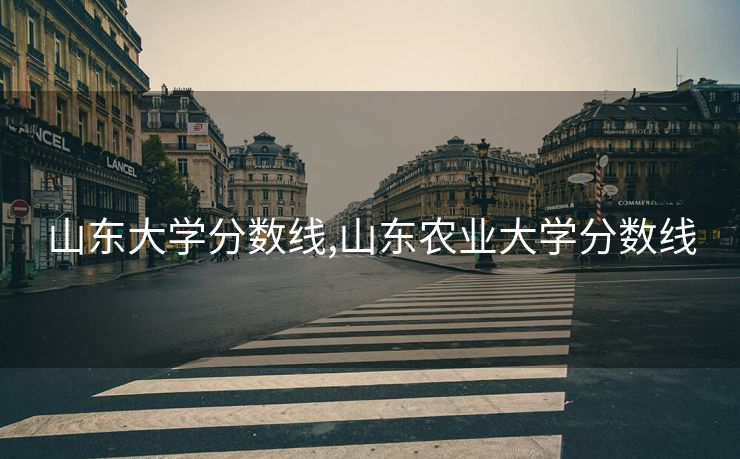 山东大学分数线,山东农业大学分数线
